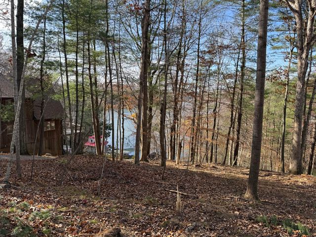 LOT 9 TIKI TERRACE, Goodview, VA 24095