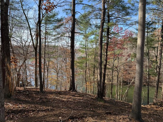 LOT 9 TIKI TERRACE, Goodview, VA 24095