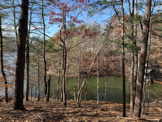 LOT 9 TIKI TERRACE, Goodview, VA 24095