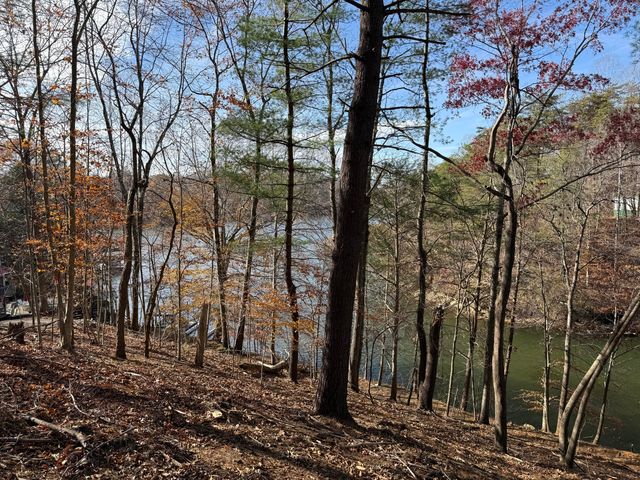LOT 9 TIKI TERRACE, Goodview, VA 24095