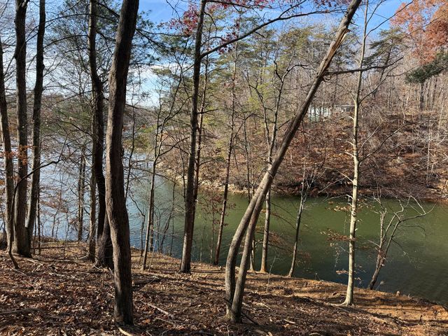 LOT 9 TIKI TERRACE, Goodview, VA 24095