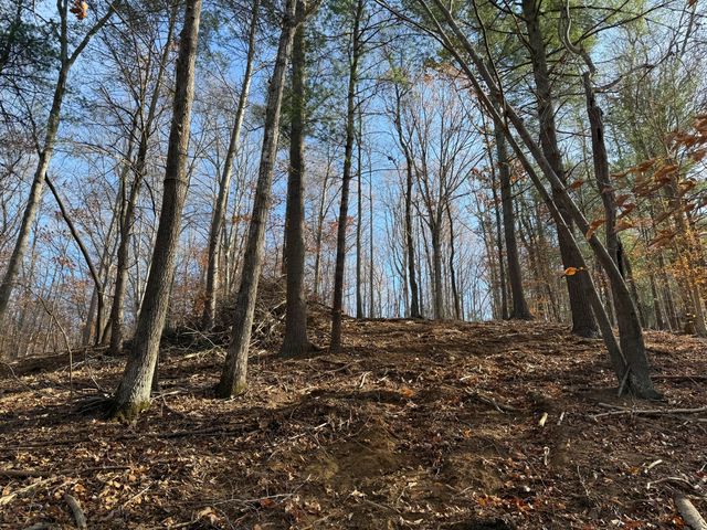 LOT 9 TIKI TERRACE, Goodview, VA 24095