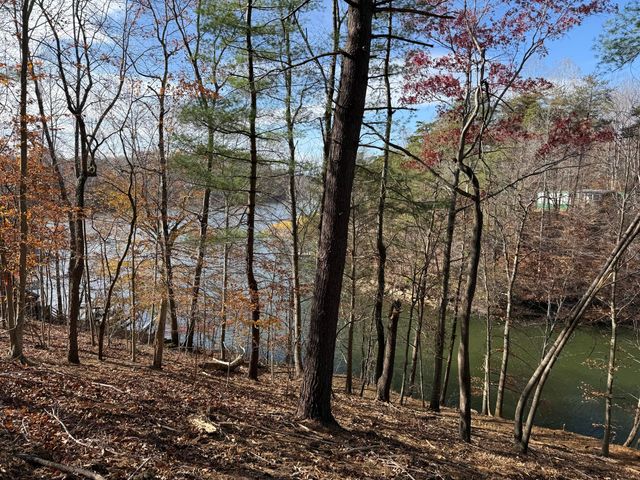 LOT 9 TIKI TERRACE, Goodview, VA 24095