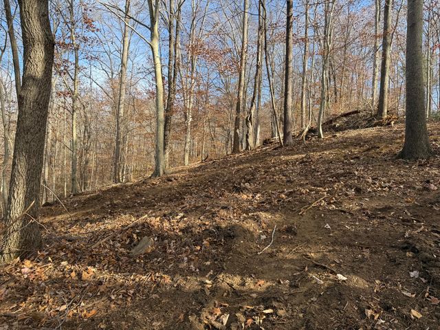 LOT 9 TIKI TERRACE, Goodview, VA 24095