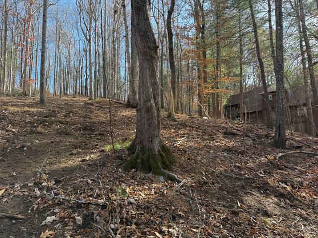 LOT 9 TIKI TERRACE, Goodview, VA 24095