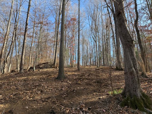 LOT 9 TIKI TERRACE, Goodview, VA 24095