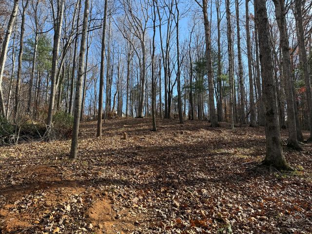 LOT 9 TIKI TERRACE, Goodview, VA 24095