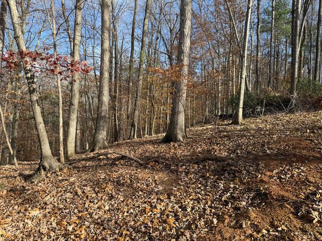 LOT 9 TIKI TERRACE, Goodview, VA 24095