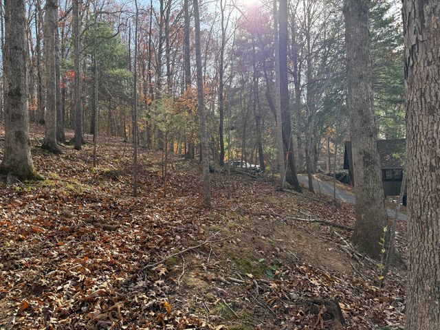 LOT 9 TIKI TERRACE, Goodview, VA 24095