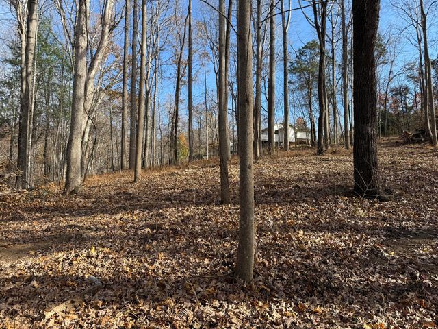 LOT 9 TIKI TERRACE, Goodview, VA 24095