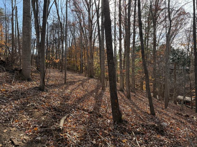 LOT 9 TIKI TERRACE, Goodview, VA 24095