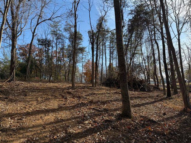 LOT 9 TIKI TERRACE, Goodview, VA 24095