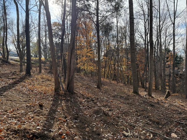 LOT 9 TIKI TERRACE, Goodview, VA 24095