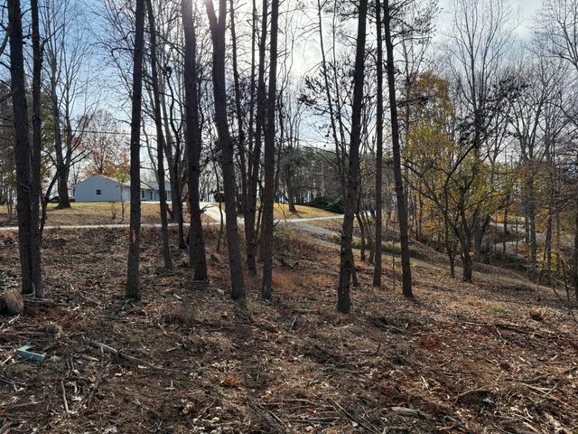 LOT 9 TIKI TERRACE, Goodview, VA 24095