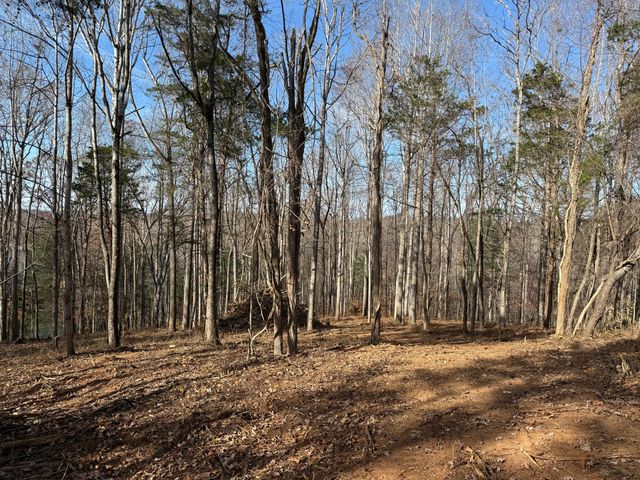 LOT 9 TIKI TERRACE, Goodview, VA 24095