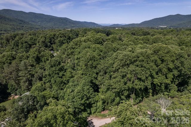 17 Chicago Avenue, Black Mountain, NC 28711