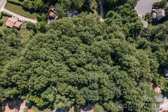17 Chicago Avenue, Black Mountain, NC 28711