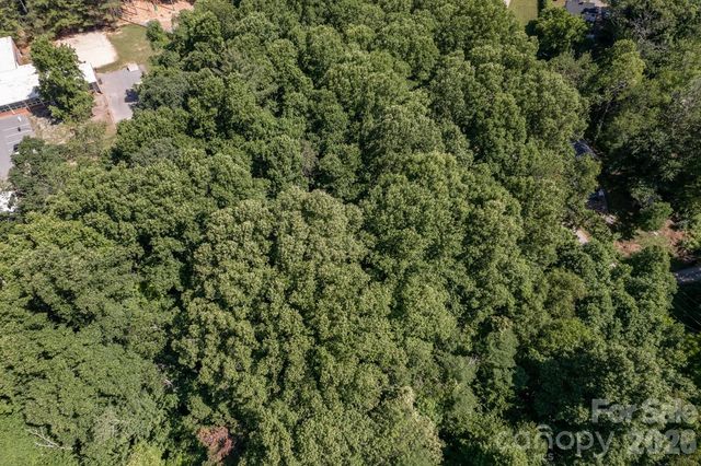 17 Chicago Avenue, Black Mountain, NC 28711