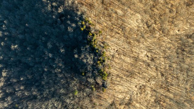 9999 North Bend Road, Stanton, KY 40380