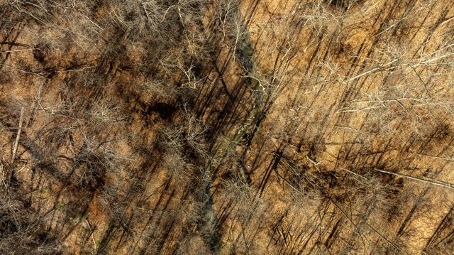 9999 North Bend Road, Stanton, KY 40380