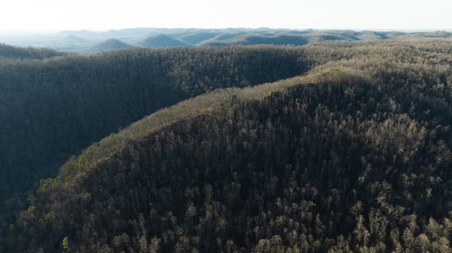 9999 North Bend Road, Stanton, KY 40380