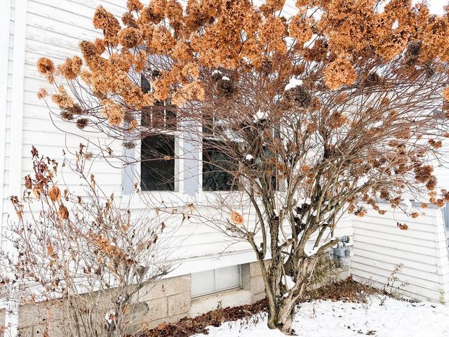 16 Gault Avenue, Oneonta, NY 13820