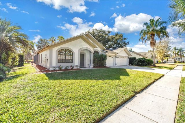 8436 RIDGEBROOK CIRCLE, Odessa, FL 33556