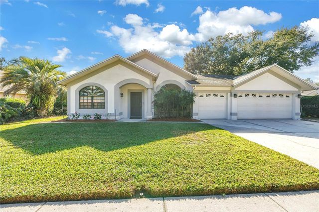 8436 RIDGEBROOK CIRCLE, Odessa, FL 33556