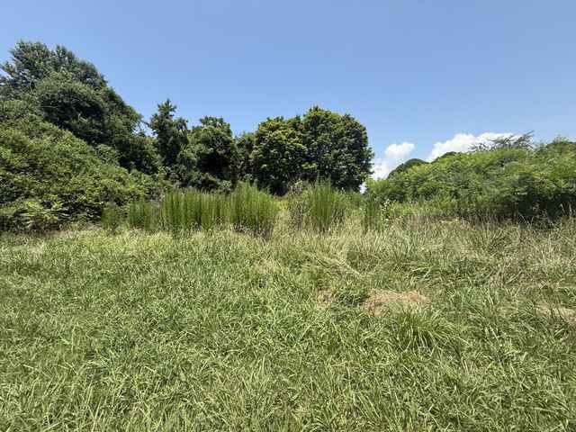60 Lees Ford Ln, Winchester, TN 37398