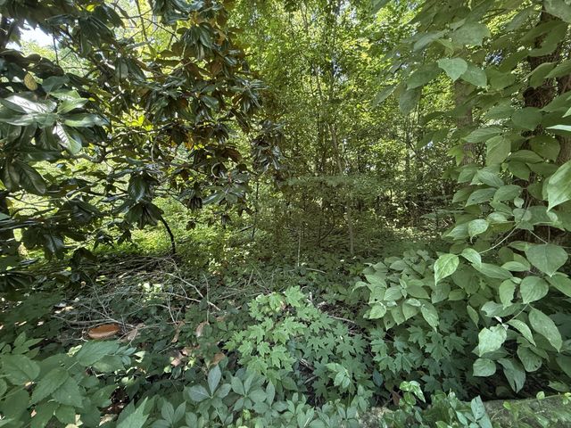 60 Lees Ford Ln, Winchester, TN 37398
