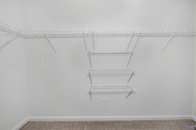 8244 Huspa Avenue, Madison, AL 35756