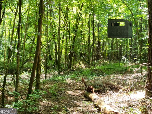 3371 Sugar Hill, Unadilla, GA 31091