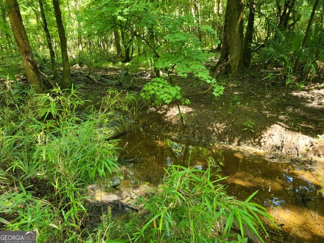 3371 Sugar Hill, Unadilla, GA 31091