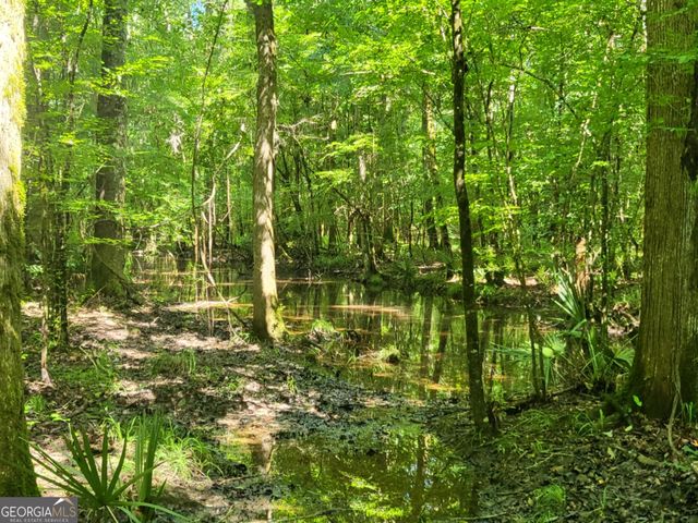 3371 Sugar Hill, Unadilla, GA 31091