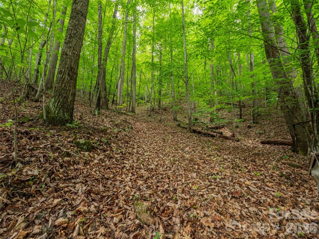 68 Long Ridge Road, Candler, NC 28715
