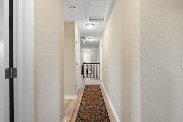 31046 PARROT REEF COURT, Wesley Chapel, FL 33545