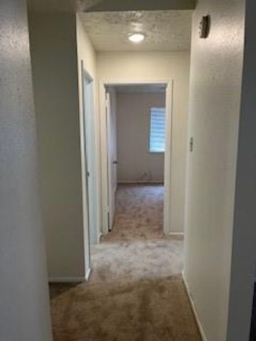 4506 Stallion Brook Lane, Spring, TX 77388