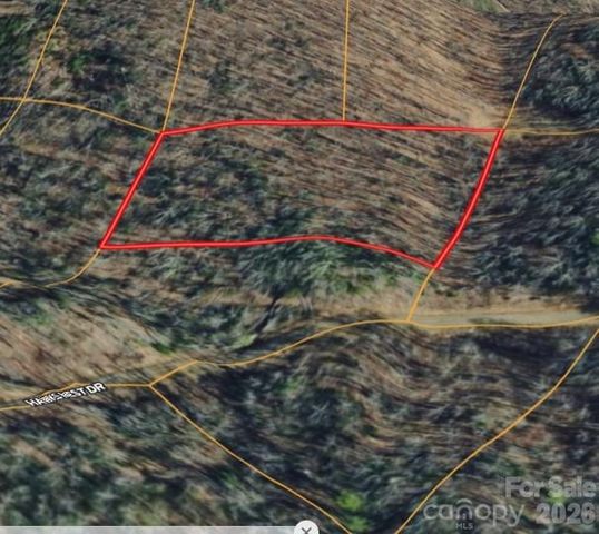 000 Hawks Nest Drive, Burnsville, NC 28714