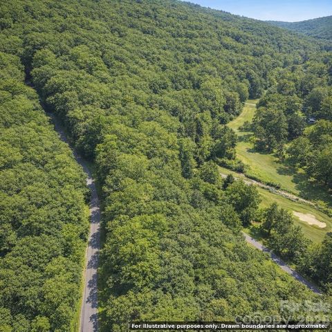 000 Hawks Nest Drive, Burnsville, NC 28714