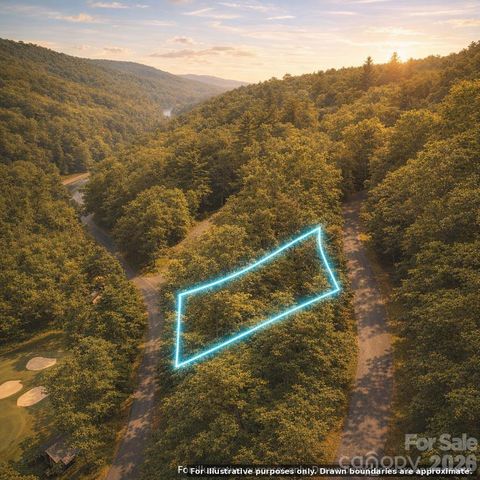 000 Hawks Nest Drive, Burnsville, NC 28714