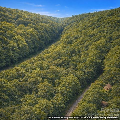 000 Hawks Nest Drive, Burnsville, NC 28714