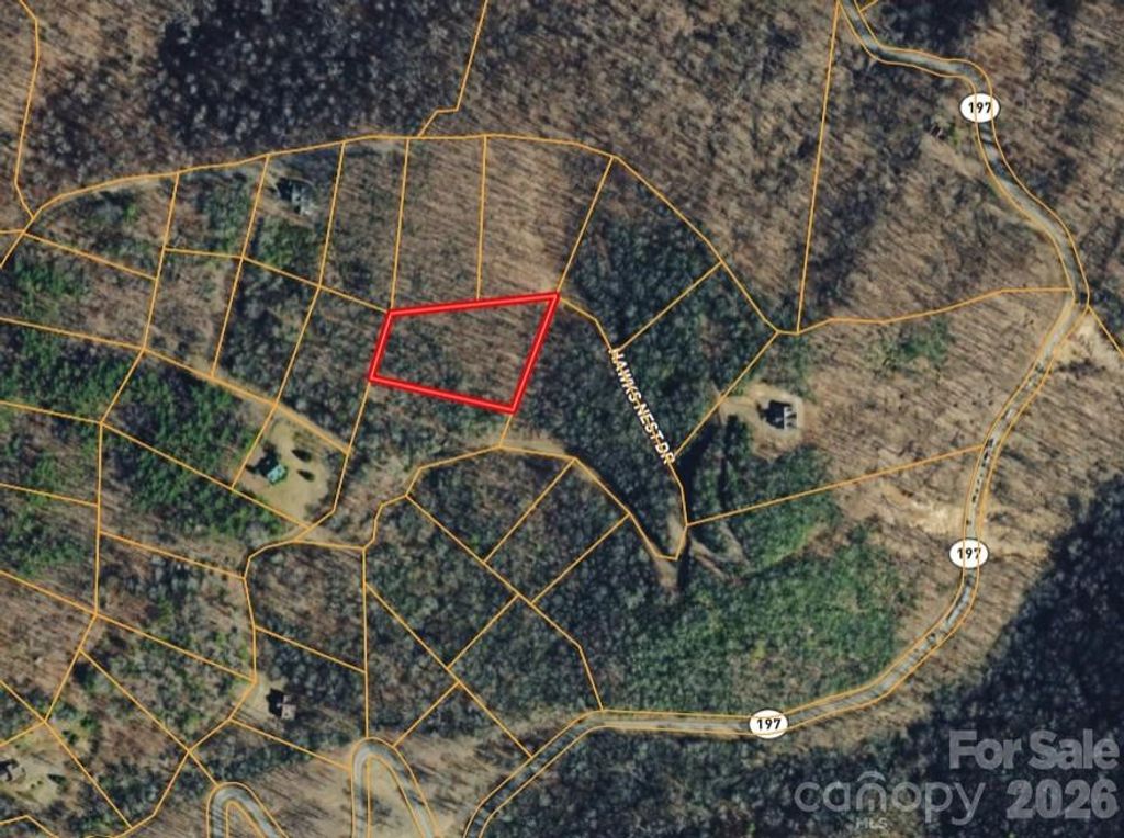 000 Hawks Nest Drive, Burnsville, NC 28714
