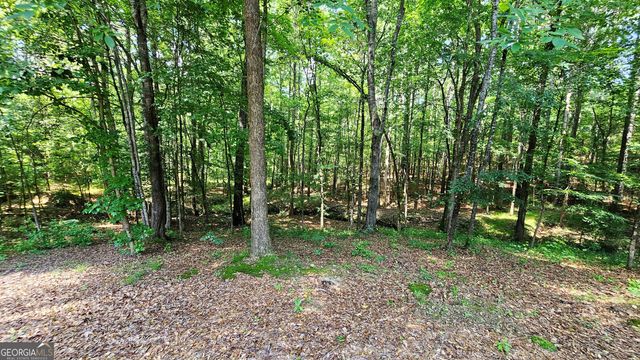 43 Ivy Mist Lane, Acworth, GA 30101