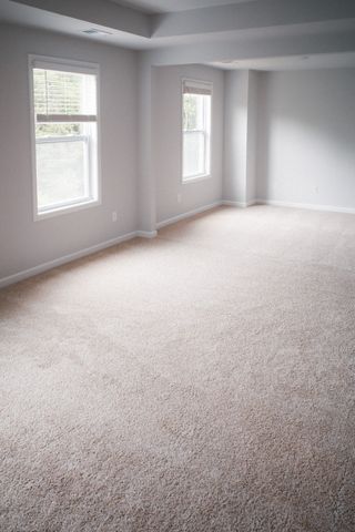 4231 Grapevine Loop, Smyrna, TN 37167