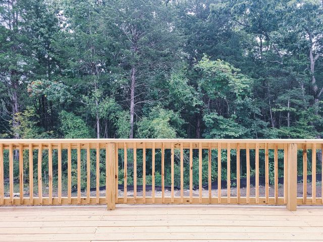 4231 Grapevine Loop, Smyrna, TN 37167