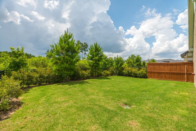 17794 Tree Of Heaven, Conroe, TX 77385