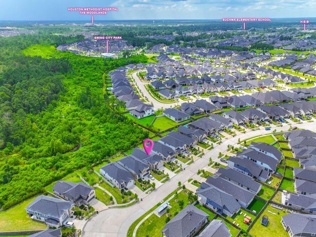17794 Tree Of Heaven, Conroe, TX 77385