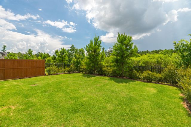 17794 Tree Of Heaven, Conroe, TX 77385