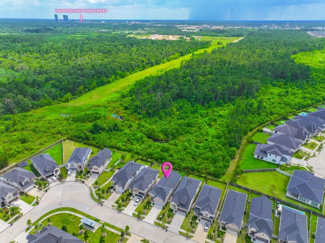 17794 Tree Of Heaven, Conroe, TX 77385