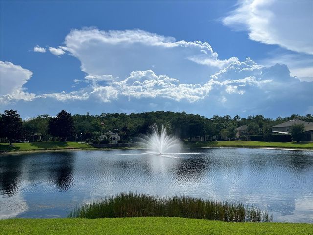 10068 SILVER LAUREL WAY, Orlando, FL 32832